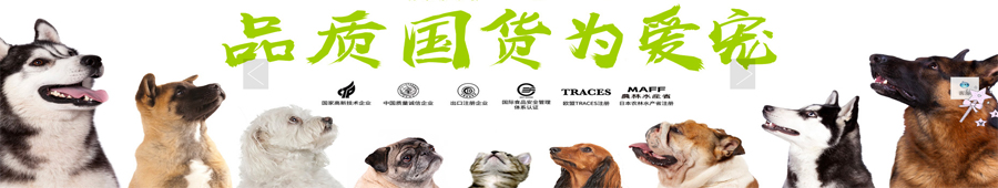 厦门宠物品牌营销策划公司|宠物品牌营销策划|为厦门、泉州、漳州、龙岩宠物食品企业提供营销策划与品牌设计